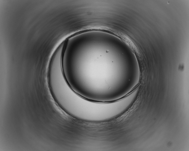 X0000100331132200806051528