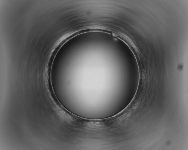 X0000100331133200806051528