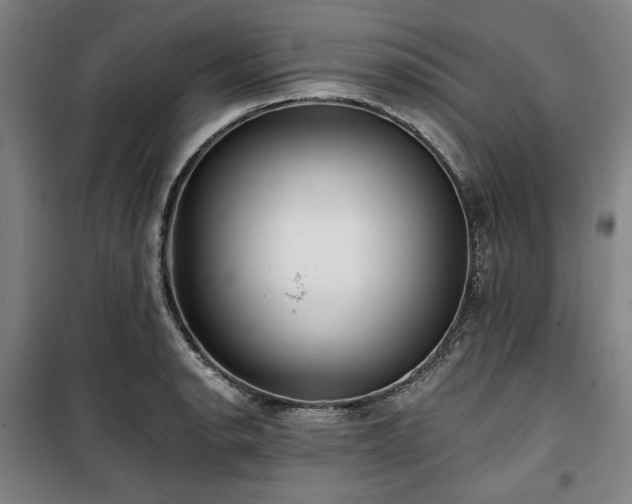 X0000100331134200806051528