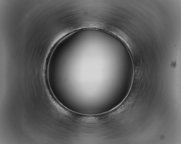 X0000100331135200806051528