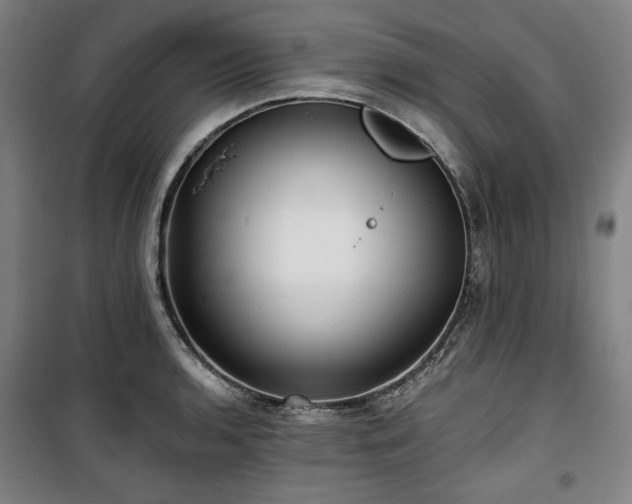 X0000100331136200806051528