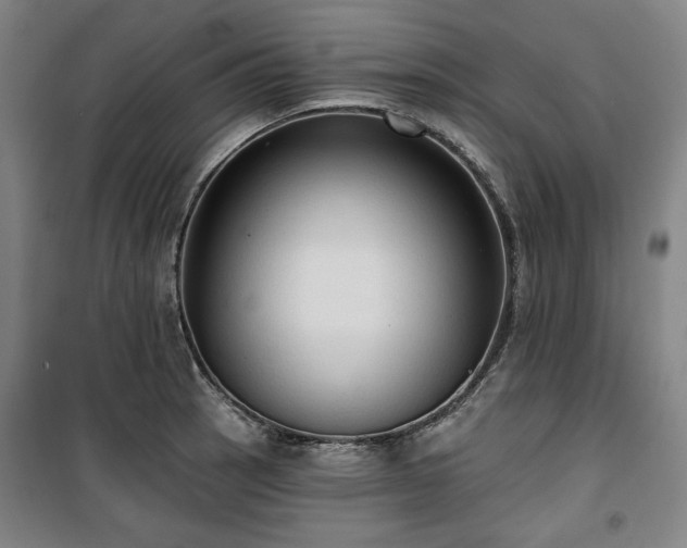 X0000100331137200806051528