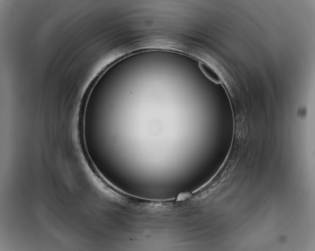 X0000100331139200806051528