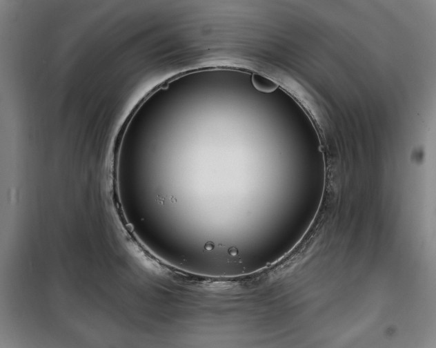 X0000100331140200806051528