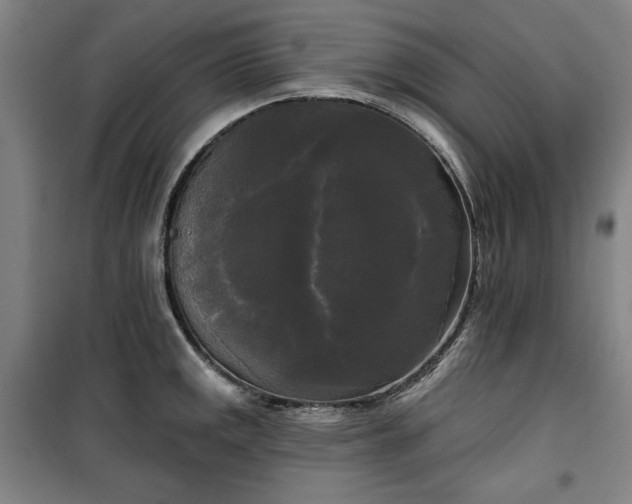 X0000100331141200806051528