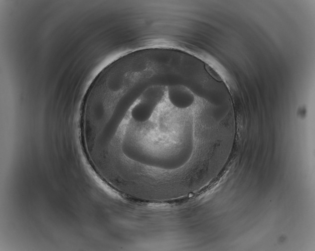 X0000100331142200806051528