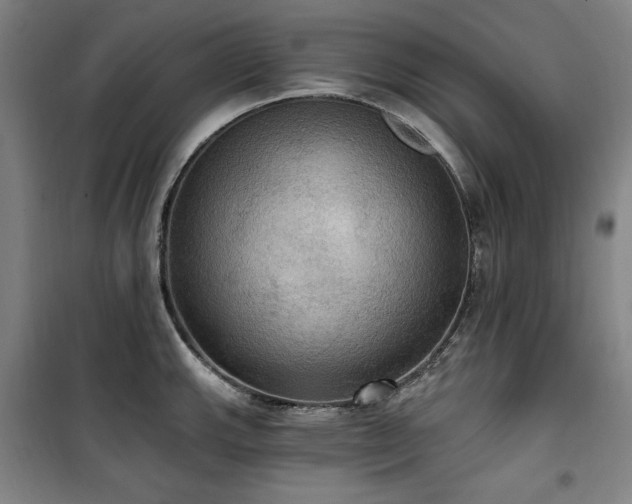 X0000100331143200806051528