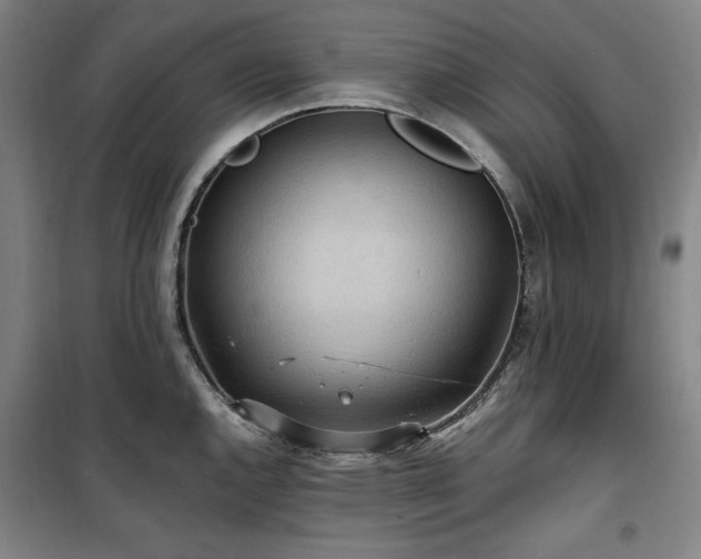 X0000100331144200806051528