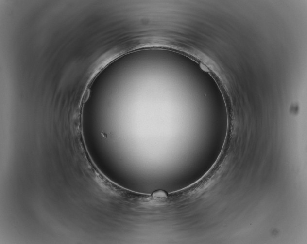 X0000100331145200806051528