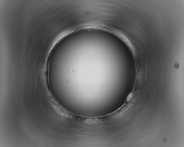 X0000100331146200806051528