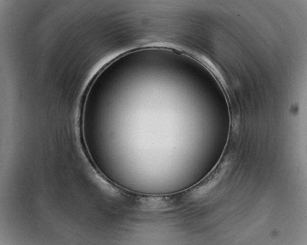 X0000100331149200806051528