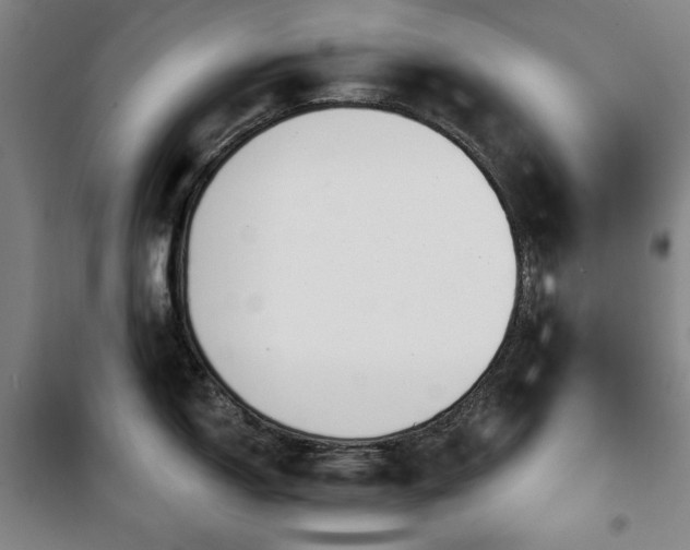 X0000100331150200806051528