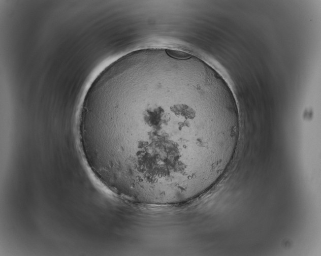 X0000100331152200806051528
