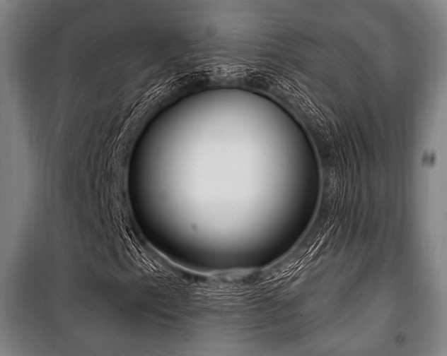 X0000100331153200806051527