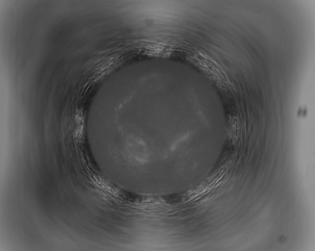 X0000100331154200806051527