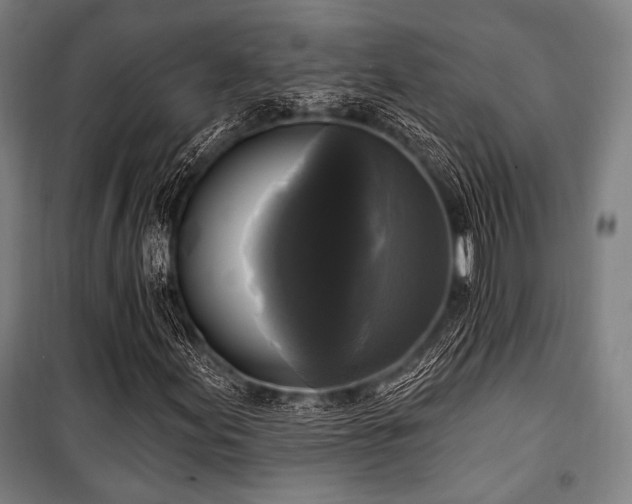 X0000100331155200806051527