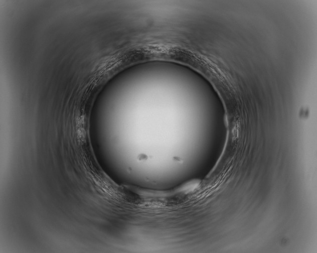 X0000100331156200806051527