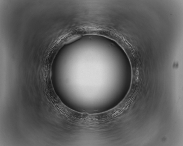 X0000100331157200806051527