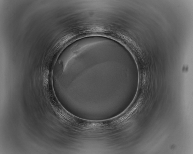 X0000100331161200806051527