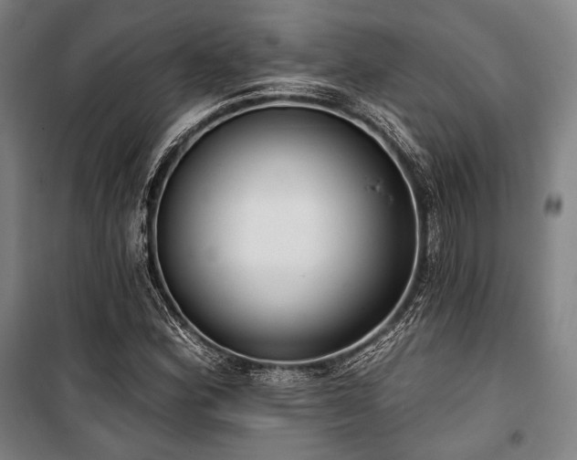 X0000100331164200806051527