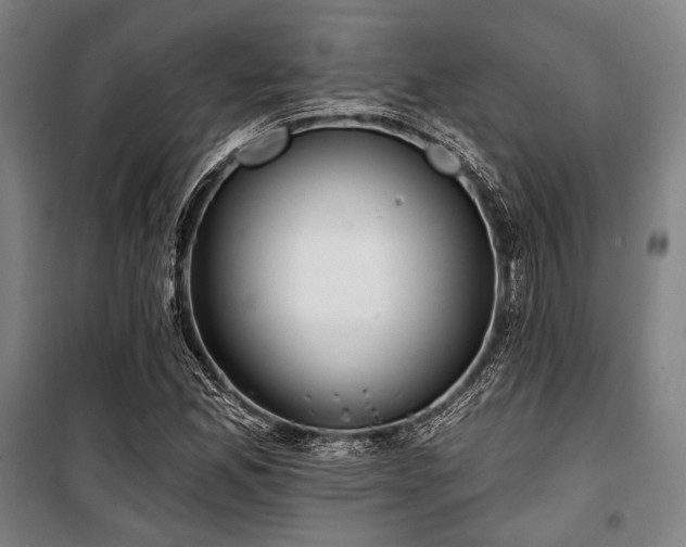 X0000100331165200806051527