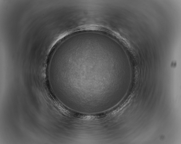 X0000100331166200806051527