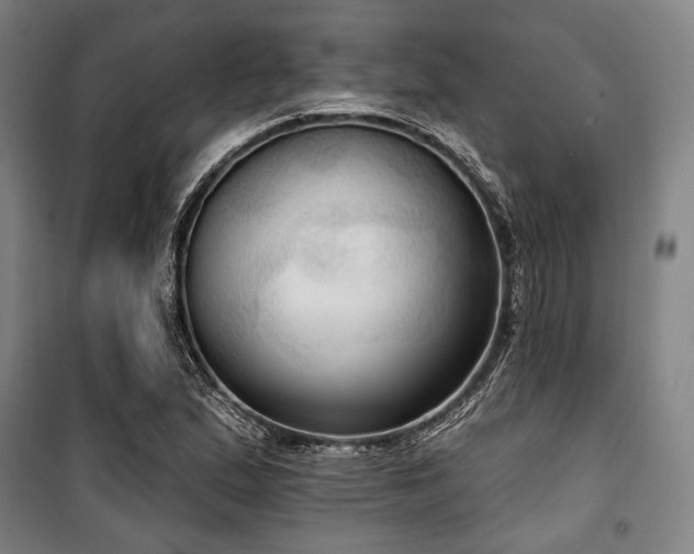 X0000100331167200806051527