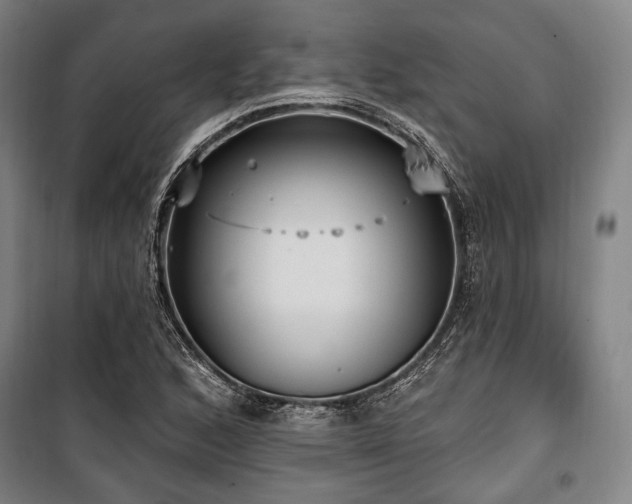 X0000100331168200806051527