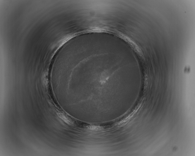 X0000100331170200806051527