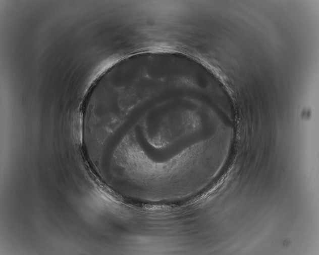 X0000100331171200806051527
