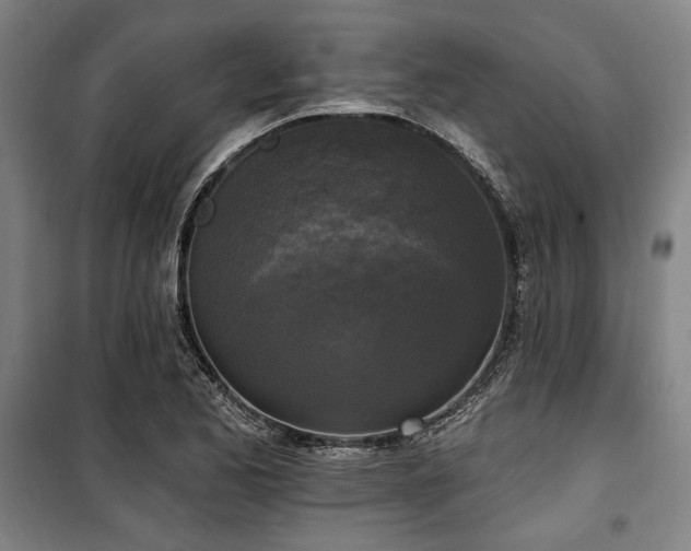 X0000100331173200806051527