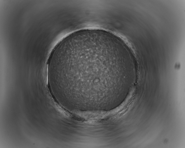 X0000100331175200806051527