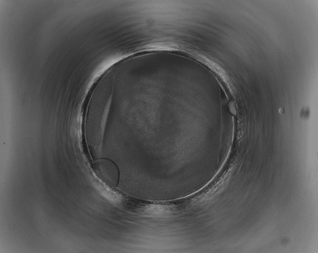 X0000100331179200806051527