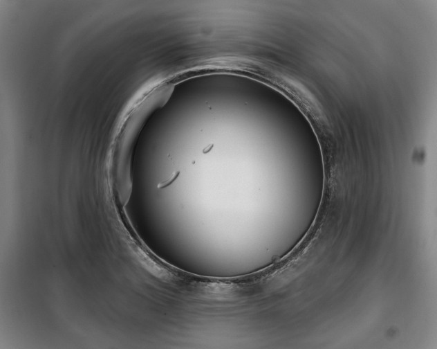 X0000100331180200806051527