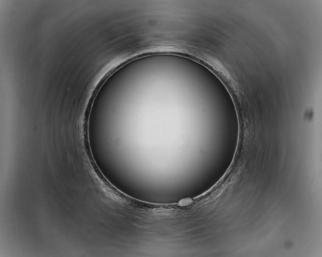 X0000100331181200806051527