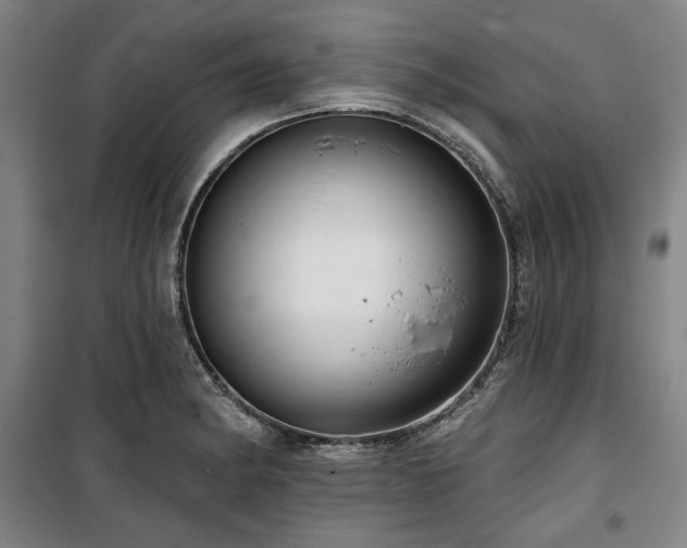 X0000100331182200806051527