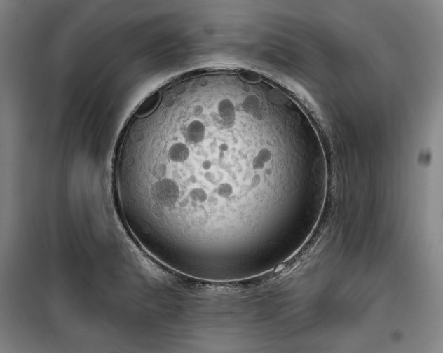 X0000100331183200806051527