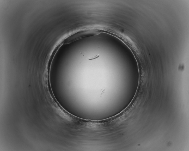 X0000100331184200806051527