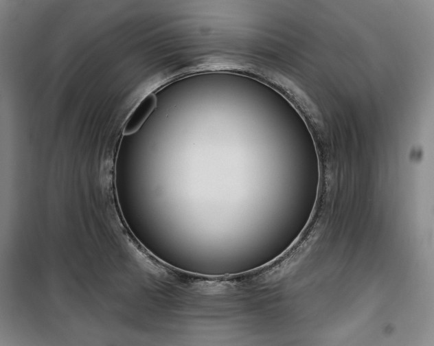 X0000100331185200806051527