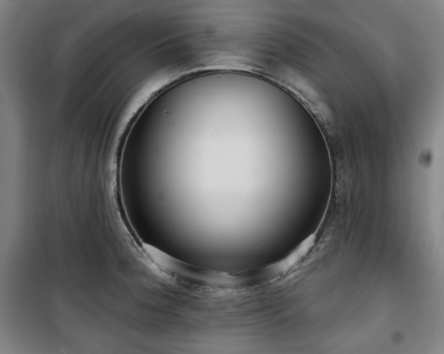 X0000100331188200806051527