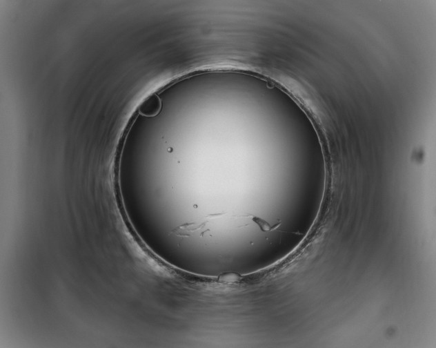 X0000100331189200806051527