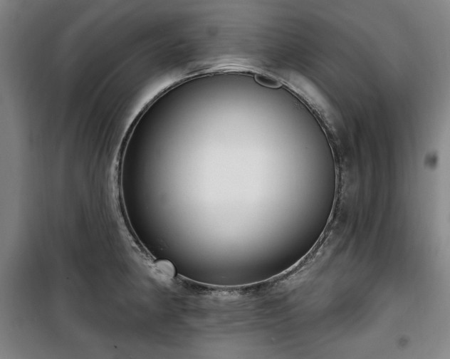 X0000100331190200806051527