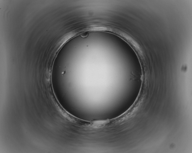 X0000100331193200806051527