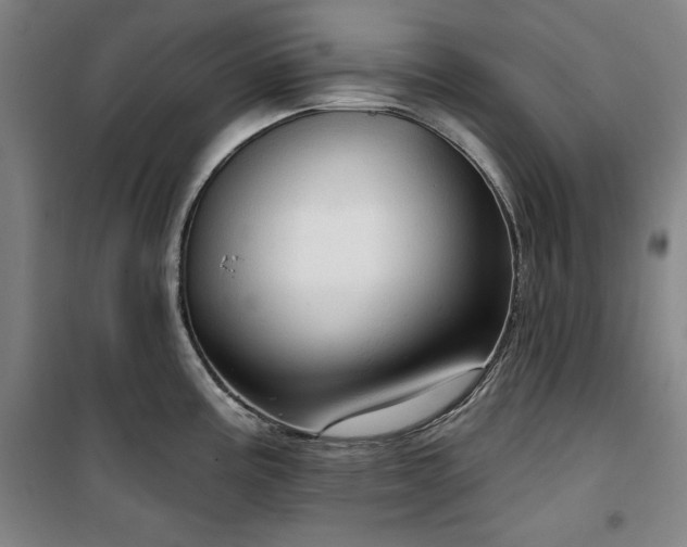 X0000100331195200806051527