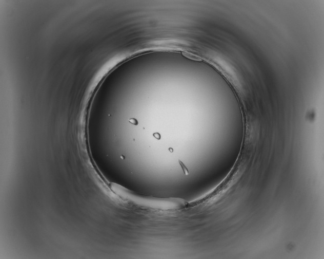 X0000100331196200806051527