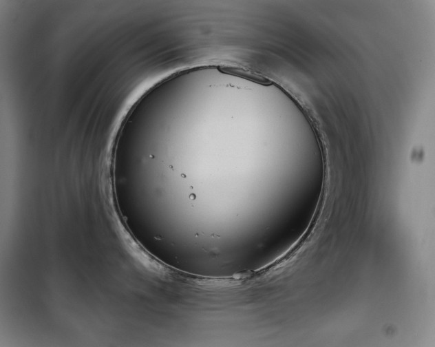 X0000100331200200806051527
