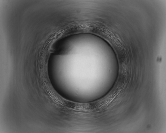 X0000100331201200806051526