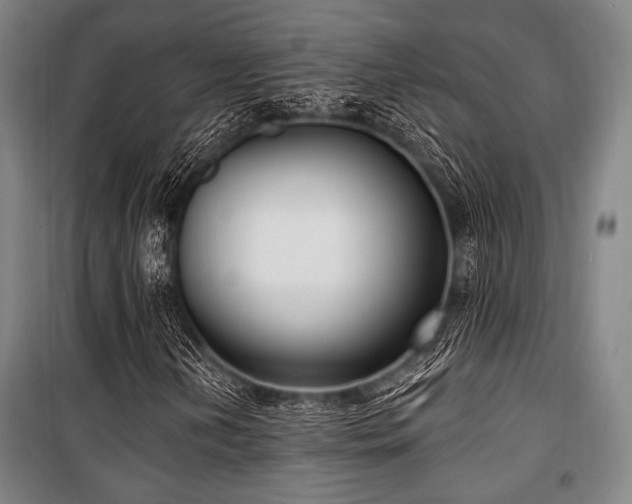 X0000100331202200806051526