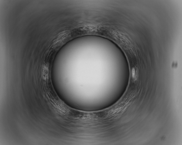 X0000100331203200806051526