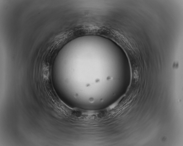 X0000100331204200806051526